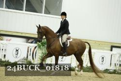 24BUCK_01818 thumbnail