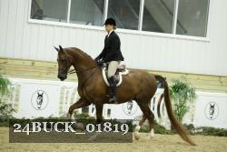 24BUCK_01819 thumbnail