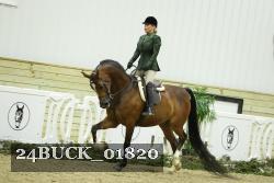 24BUCK_01820 thumbnail