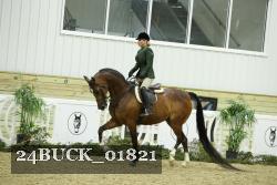 24BUCK_01821 thumbnail