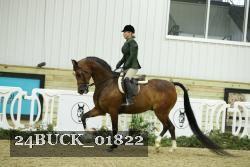24BUCK_01822 thumbnail