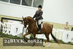24BUCK_01824 thumbnail