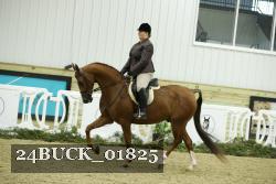 24BUCK_01825 thumbnail