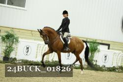 24BUCK_01826 thumbnail