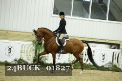 24BUCK_01827 thumbnail