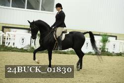 24BUCK_01830 thumbnail