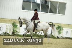 24BUCK_01832 thumbnail