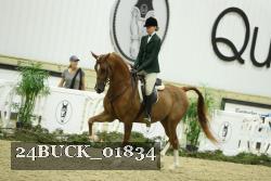 24BUCK_01834 thumbnail