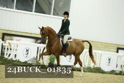 24BUCK_01835 thumbnail