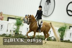 24BUCK_01839 thumbnail