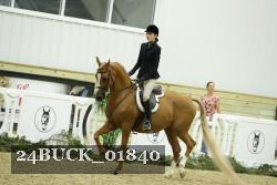 24BUCK_01840 thumbnail