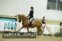 24BUCK_01841 thumbnail