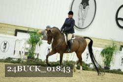 24BUCK_01843 thumbnail