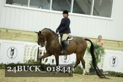 24BUCK_01844 thumbnail