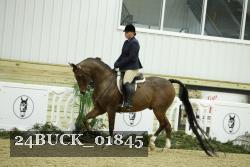 24BUCK_01845 thumbnail