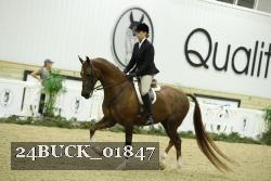 24BUCK_01847 thumbnail