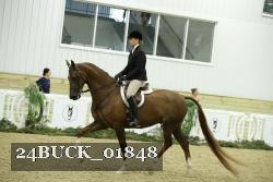 24BUCK_01848 thumbnail