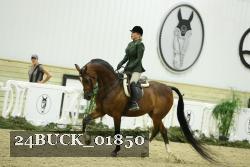 24BUCK_01850 thumbnail
