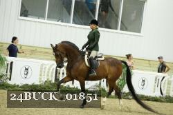 24BUCK_01851 thumbnail