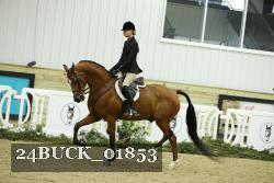 24BUCK_01853 thumbnail