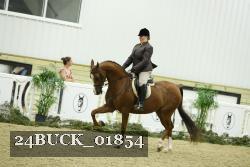 24BUCK_01854 thumbnail