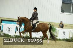 24BUCK_01855 thumbnail