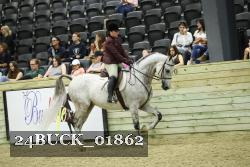 24BUCK_01862 thumbnail