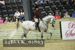 24BUCK_01863 thumbnail