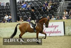 24BUCK_01864 thumbnail