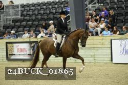 24BUCK_01865 thumbnail