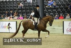 24BUCK_01867 thumbnail