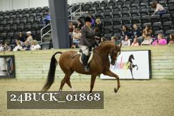 24BUCK_01868 thumbnail