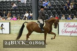 24BUCK_01869 thumbnail