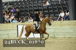 24BUCK_01870 thumbnail