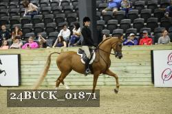 24BUCK_01871 thumbnail