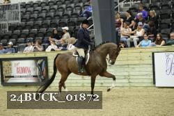 24BUCK_01872 thumbnail