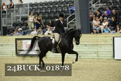 24BUCK_01878 thumbnail