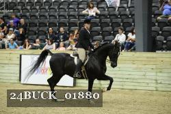 24BUCK_01880 thumbnail