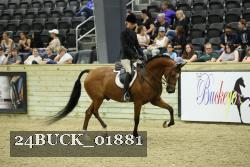 24BUCK_01881 thumbnail