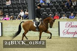 24BUCK_01882 thumbnail