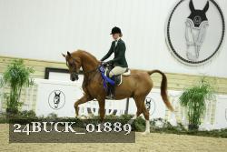 24BUCK_01889 thumbnail
