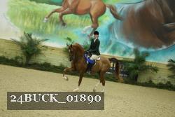 24BUCK_01890 thumbnail