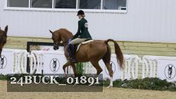 24BUCK_01891 thumbnail