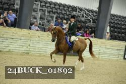 24BUCK_01892 thumbnail