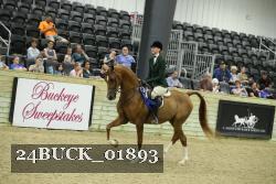 24BUCK_01893 thumbnail