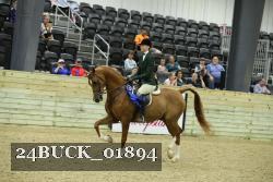 24BUCK_01894 thumbnail