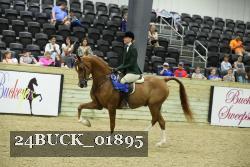 24BUCK_01895 thumbnail