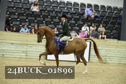 24BUCK_01896 thumbnail