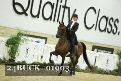 24BUCK_01903 thumbnail
