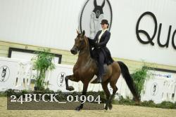 24BUCK_01904 thumbnail